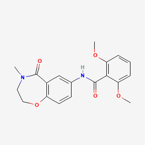 molecular formula C19H20N2O5 B2606704 2,6-dimethoxy-N-(4-methyl-5-oxo-2,3,4,5-tetrahydrobenzo[f][1,4]oxazepin-7-yl)benzamide CAS No. 922000-60-0