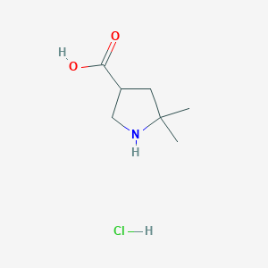 molecular formula C7H14ClNO2 B2607458 5,5-二甲基吡咯烷-3-羧酸;盐酸盐 CAS No. 2411299-56-2