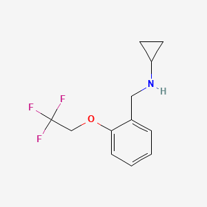 molecular formula C12H14F3NO B2607870 N-[[2-(2,2,2-trifluoroethoxy)phenyl]methyl]cyclopropanamine CAS No. 1095227-11-4