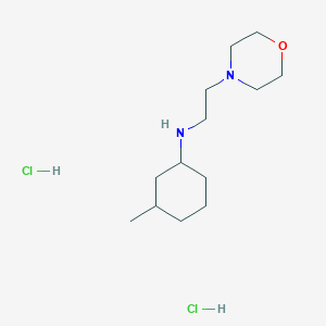 molecular formula C13H28Cl2N2O B2608247 3-甲基-N-(2-吗啉-4-基乙基)环己-1-胺;二盐酸盐 CAS No. 2416234-15-4
