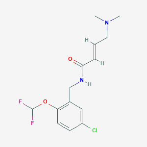 molecular formula C14H17ClF2N2O2 B2608908 (E)-N-[[5-Chloro-2-(difluoromethoxy)phenyl]methyl]-4-(dimethylamino)but-2-enamide CAS No. 2411322-34-2