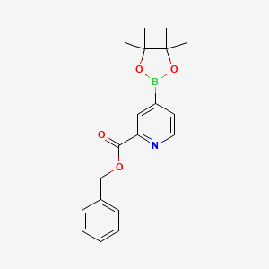 molecular formula C19H22BNO4 B2609107 Benzyl 4-(4,4,5,5-tetramethyl-1,3,2-dioxaborolan-2-yl)picolinate CAS No. 2377607-15-1