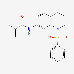 N-(1-(phenylsulfonyl)-1,2,3,4-tetrahydroquinolin-7-yl)isobutyramide