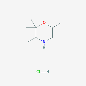 molecular formula C8H18ClNO B2609741 2,2,3,6-四甲基吗啉；盐酸盐 CAS No. 2567495-02-5