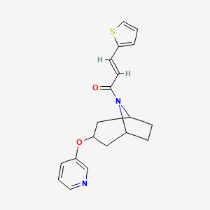 (E)-1-((1R,5S)-3-(pyridin-3-yloxy)-8-azabicyclo[3.2.1]octan-8-yl)-3-(thiophen-2-yl)prop-2-en-1-one