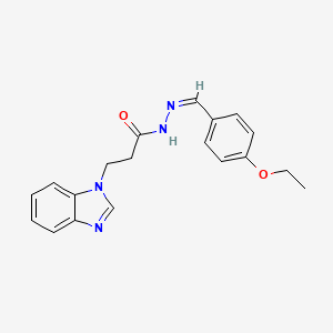 molecular formula C19H20N4O2 B2610190 (Z)-3-(1H-苯并[d]咪唑-1-基)-N'-(4-乙氧基亚苄基)丙烷酰肼 CAS No. 452090-06-1