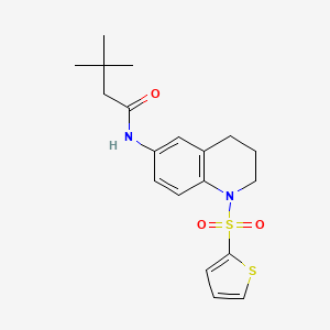 3,3-dimethyl-N-(1-thiophen-2-ylsulfonyl-3,4-dihydro-2H-quinolin-6-yl)butanamide