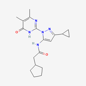 molecular formula C19H25N5O2 B2610892 2-环戊基-N-(3-环丙基-1-(4,5-二甲基-6-氧代-1,6-二氢嘧啶-2-基)-1H-吡唑-5-基)乙酰胺 CAS No. 1207017-04-6