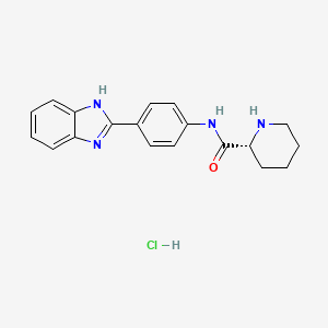 (2R)-N-[4-(1H-Benzimidazol-2-yl)phenyl]piperidine-2-carboxamide;hydrochloride