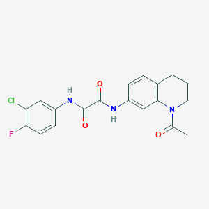 molecular formula C19H17ClFN3O3 B2611402 N-(1-乙酰基-3,4-二氢-2H-喹啉-7-基)-N'-(3-氯-4-氟苯基)草酰胺 CAS No. 898439-88-8