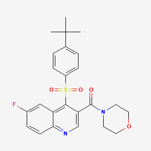 molecular formula C24H25FN2O4S B2615534 (4-((4-(叔丁基)苯基)磺酰基)-6-氟喹啉-3-基)(吗啉基)甲酮 CAS No. 1110976-40-3