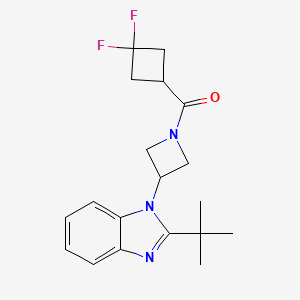 molecular formula C19H23F2N3O B2615762 2-tert-butyl-1-[1-(3,3-difluorocyclobutanecarbonyl)azetidin-3-yl]-1H-1,3-benzodiazole CAS No. 2415527-35-2