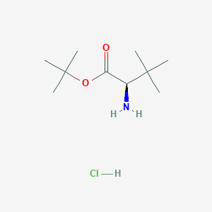 molecular formula C10H22ClNO2 B2615896 D-tert-leucine t-butyl ester hydrochloride CAS No. 256478-92-9