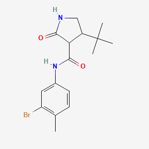 molecular formula C16H21BrN2O2 B2616500 N-(3-溴-4-甲基苯基)-4-叔丁基-2-氧代吡咯烷-3-甲酰胺 CAS No. 2097917-69-4