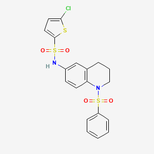 5-chloro-N-(1-(phenylsulfonyl)-1,2,3,4-tetrahydroquinolin-6-yl)thiophene-2-sulfonamide