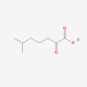 molecular formula C8H14O3 B2618796 6-Methyl-2-oxoheptanoic acid CAS No. 76390-95-9