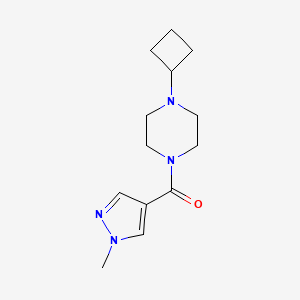 molecular formula C13H20N4O B2618888 (4-cyclobutylpiperazin-1-yl)(1-methyl-1H-pyrazol-4-yl)methanone CAS No. 2319802-99-6