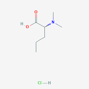 molecular formula C7H16ClNO2 B2619176 (2R)-2-(Dimethylamino)pentanoic acid;hydrochloride CAS No. 2490344-68-6