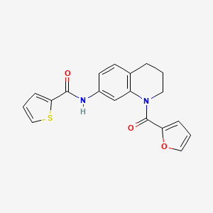 molecular formula C19H16N2O3S B2620070 N-[1-(2-furoyl)-1,2,3,4-tetrahydroquinolin-7-yl]thiophene-2-carboxamide CAS No. 946243-92-1