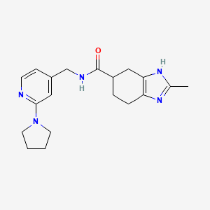 molecular formula C19H25N5O B2620271 2-甲基-N-((2-(吡咯烷-1-基)吡啶-4-基)甲基)-4,5,6,7-四氢-1H-苯并[d]咪唑-5-甲酰胺 CAS No. 2034474-15-0
