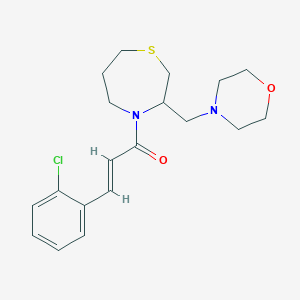(E)-3-(2-chlorophenyl)-1-(3-(morpholinomethyl)-1,4-thiazepan-4-yl)prop-2-en-1-one
