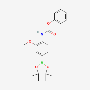molecular formula C20H24BNO5 B2621944 Phenyl (2-methoxy-4-(4,4,5,5-tetramethyl-1,3,2-dioxaborolan-2-yl)phenyl)carbamate CAS No. 1914078-87-7