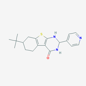 molecular formula C19H23N3OS B262197 7-tert-butyl-2-(4-pyridinyl)-2,3,5,6,7,8-hexahydro[1]benzothieno[2,3-d]pyrimidin-4(1H)-one 