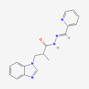 3-(1H-benzimidazol-1-yl)-2-methyl-N'-[(E)-pyridin-2-ylmethylidene]propanehydrazide