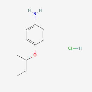 molecular formula C10H16ClNO B2623501 (4-Sec-butoxyphenyl)amine hydrochloride CAS No. 1087751-49-2; 59002-72-1