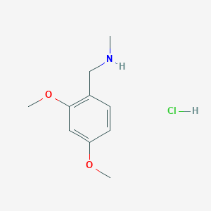 molecular formula C10H16ClNO2 B2623543 [(2,4-Dimethoxyphenyl)methyl](methyl)amine hydrochloride CAS No. 326473-23-8