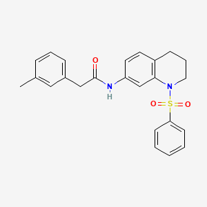 molecular formula C24H24N2O3S B2624428 N-[1-(benzenesulfonyl)-3,4-dihydro-2H-quinolin-7-yl]-2-(3-methylphenyl)acetamide CAS No. 1005301-62-1