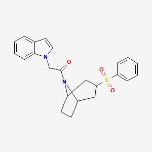 molecular formula C23H24N2O3S B2624959 2-(1H-indol-1-yl)-1-((1R,5S)-3-(phenylsulfonyl)-8-azabicyclo[3.2.1]octan-8-yl)ethanone CAS No. 1448029-55-7