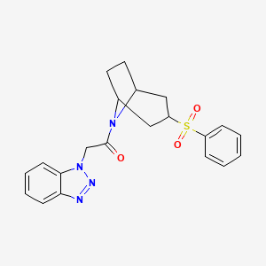 molecular formula C21H22N4O3S B2625603 2-(1H-苯并[d][1,2,3]三唑-1-基)-1-((1R,5S)-3-(苯磺酰基)-8-氮杂双环[3.2.1]辛烷-8-基)乙酮 CAS No. 1448072-72-7