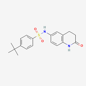 molecular formula C19H22N2O3S B2626000 4-tert-butyl-N-(2-oxo-1,2,3,4-tetrahydroquinolin-6-yl)benzenesulfonamide CAS No. 922133-55-9