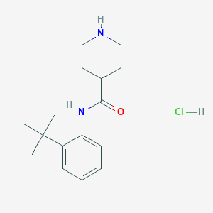 molecular formula C16H25ClN2O B2626003 N-(2-Tert-butylphenyl)piperidine-4-carboxamide;hydrochloride CAS No. 1568790-13-5