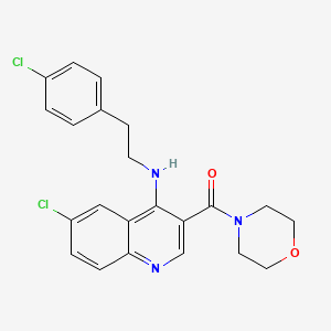 molecular formula C22H21Cl2N3O2 B2626786 （6-氯-4-{[2-(4-氯苯基)乙基]氨基}喹啉-3-基）（吗啉-4-基）甲酮 CAS No. 1797253-13-4