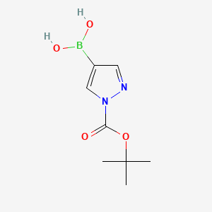 B2626936 1-tert-Butoxycarbonyl-1H-pyrazole-4-boronic acid CAS No. 1188405-87-9; 947533-31-5