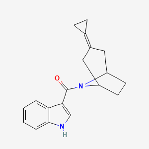 molecular formula C19H20N2O B2627274 3-{3-cyclopropylidene-8-azabicyclo[3.2.1]octane-8-carbonyl}-1H-indole CAS No. 2176070-09-8