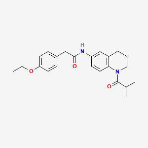 2-(4-ethoxyphenyl)-N-(1-isobutyryl-1,2,3,4-tetrahydroquinolin-6-yl)acetamide