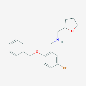 molecular formula C19H22BrNO2 B262738 N-[2-(benzyloxy)-5-bromobenzyl]-N-(tetrahydro-2-furanylmethyl)amine 