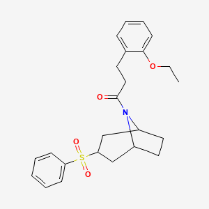 3-(2-ethoxyphenyl)-1-((1R,5S)-3-(phenylsulfonyl)-8-azabicyclo[3.2.1]octan-8-yl)propan-1-one