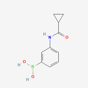 molecular formula C10H12BNO3 B2629035 B-[3-[(环丙基羰基)氨基]苯基]硼酸 CAS No. 934543-06-3