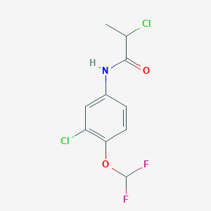 2-chloro-N-[3-chloro-4-(difluoromethoxy)phenyl]propanamide