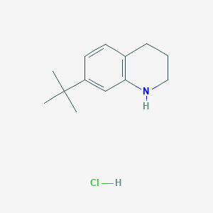 molecular formula C13H20ClN B2629669 7-Tert-butyl-1,2,3,4-tetrahydroquinoline hydrochloride CAS No. 1555328-77-2