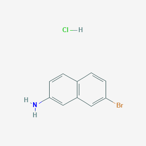 molecular formula C10H9BrClN B2631651 7-Bromonaphthalen-2-amine;hydrochloride CAS No. 2309461-50-3