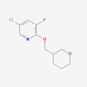 molecular formula C11H13ClFNO2 B2631753 5-Chloro-3-fluoro-2-[(oxan-3-yl)methoxy]pyridine CAS No. 2199603-53-5