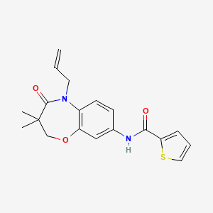 molecular formula C19H20N2O3S B2632920 N-(5-烯丙基-3,3-二甲基-4-氧代-2,3,4,5-四氢苯并[b][1,4]恶二杂环庚-8-基)噻吩-2-甲酰胺 CAS No. 921524-90-5