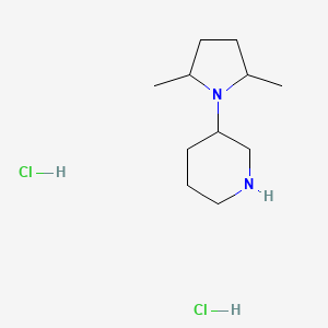 molecular formula C11H24Cl2N2 B2632976 3-(2,5-二甲基吡咯烷-1-基)哌啶二盐酸盐 CAS No. 1212248-94-6