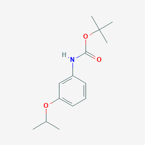 molecular formula C14H21NO3 B263318 N-(t-butyloxycarbonyl)-3-isopropoxyaniline 