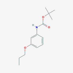 molecular formula C14H21NO3 B263320 Tert-butyl (3-propoxyphenyl)carbamate 